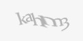 Защитный код